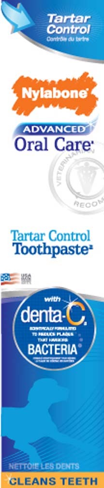 Nylabone Advanced Oral Care Tartar Control Dog Toothpaste Original, 1ea/2.5 Oz. 1 ct