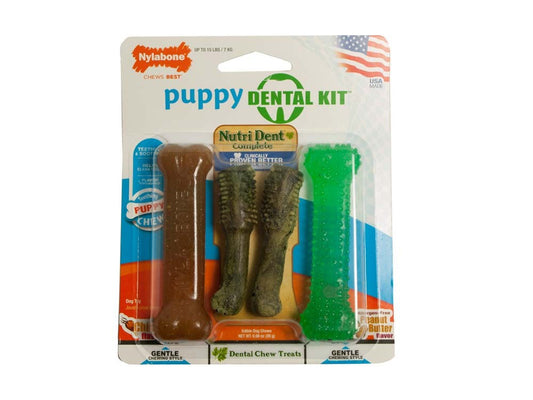 Nylabone Dental Kit For Puppies Chicken and Peanut Butter Flavor Petite - Up To 15 Lb