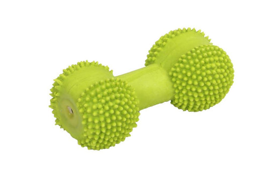 Coastal Rascals Latex Toy Dumbbell Lime 3.5In