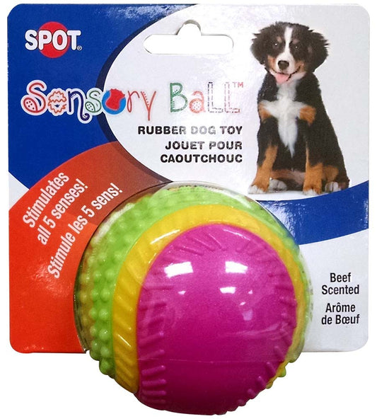 Spot Sensory Ball Dog toy Assorted 3.25 in Medium