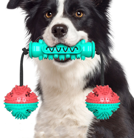 Brush and Tug Teeth Cleaning Toy