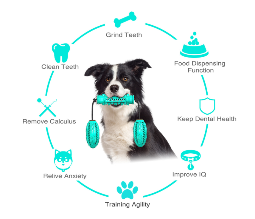 Brush and Tug Teeth Cleaning Toy