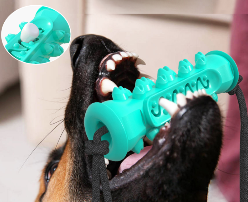 Brush and Tug Teeth Cleaning Toy