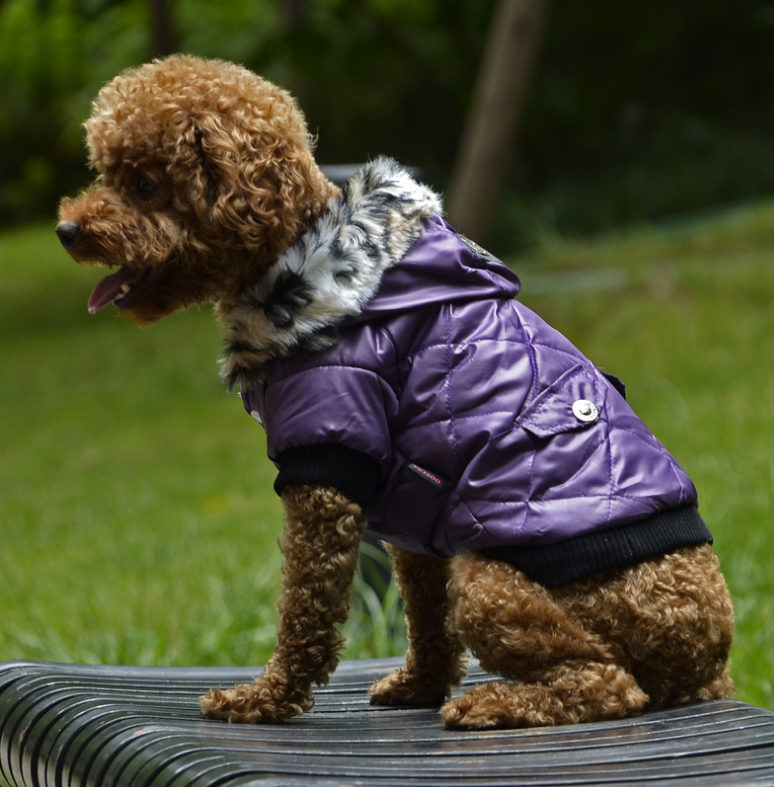 Fur Collar Winter Pet Coat