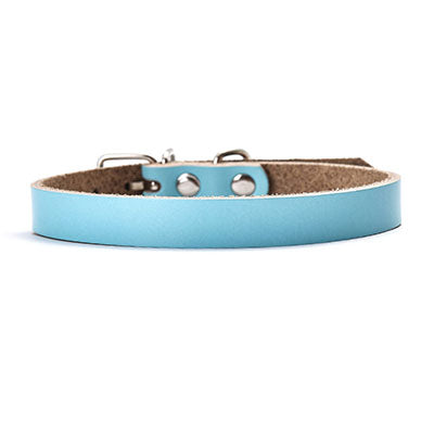 Luxury Leather Dog Collar