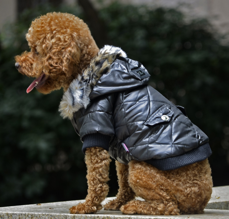 Fur Collar Winter Pet Coat