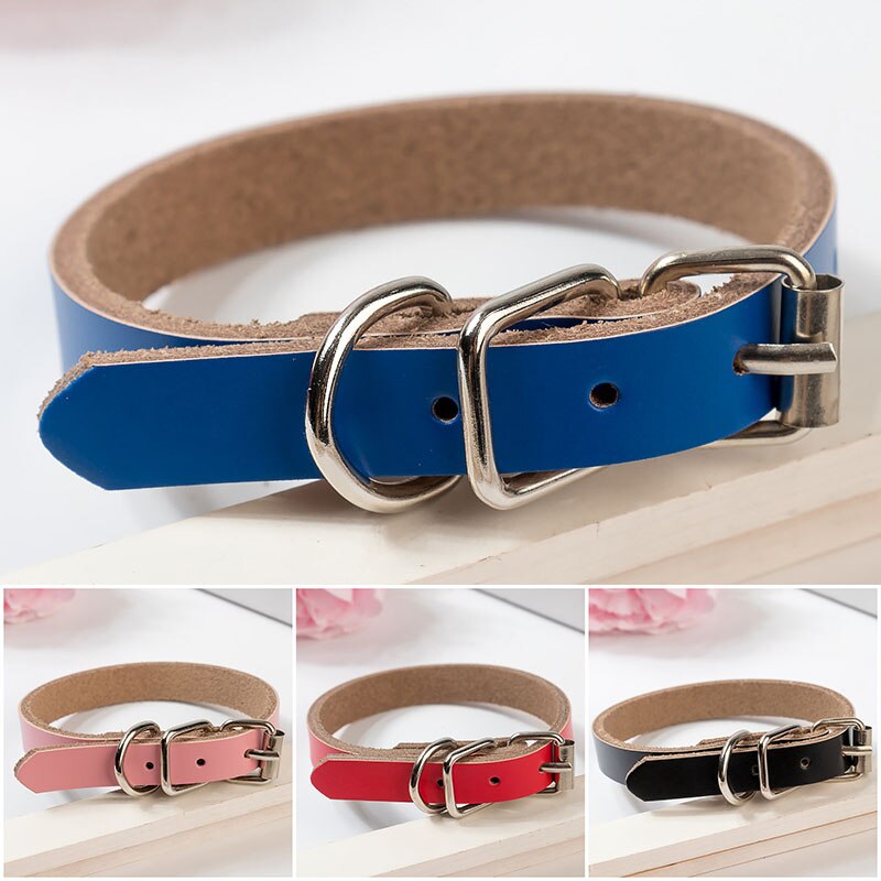 Luxury Leather Dog Collar