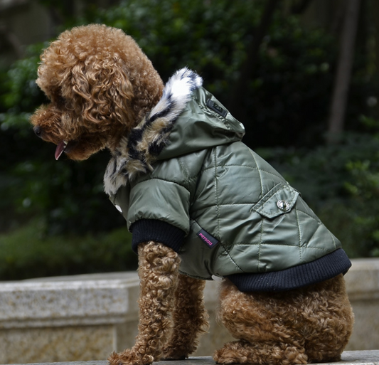 Fur Collar Winter Pet Coat