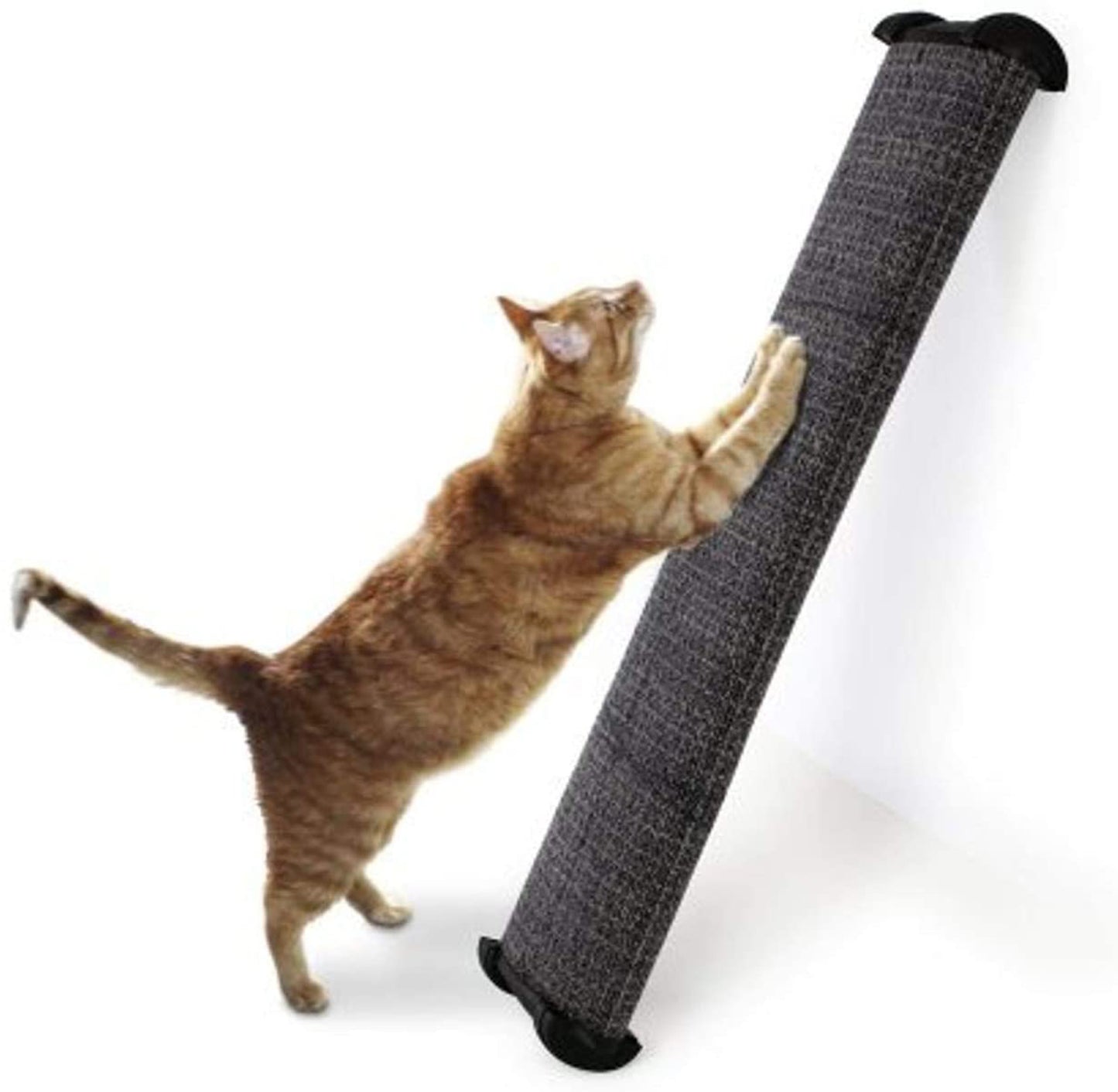 Omega Paw Lean-it Scratch Post Scratching Post Assorted 25 in Regular