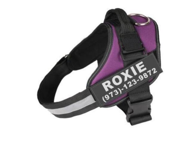 No Pull Adjustable Dog Harness