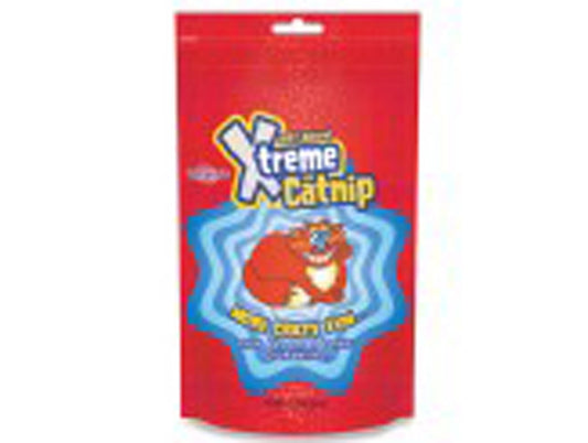 Synergy Labs XTREME Catnip 1 oz