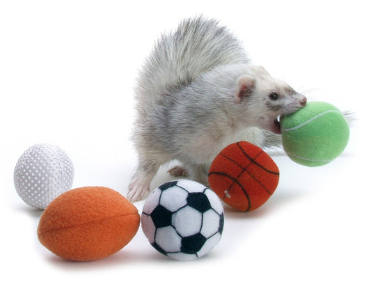 Marshall Pet Products Ferret Sport Balls Assorted 2 in 2 Pack