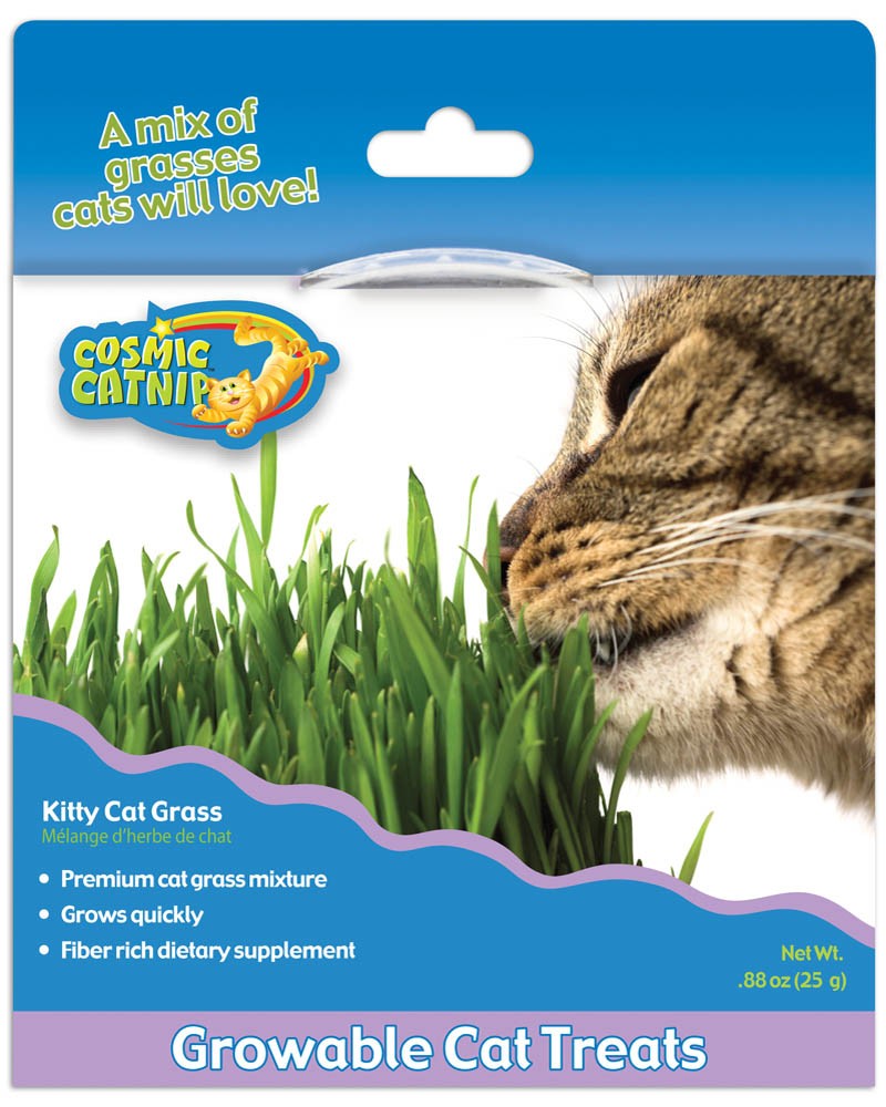 OurPets Cosmic Kitty Cat Grass 0.88 oz