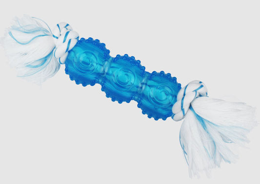 Multipet Canine Clean Rope Dog toy With 3 TPR Balls Blue 6.5 in