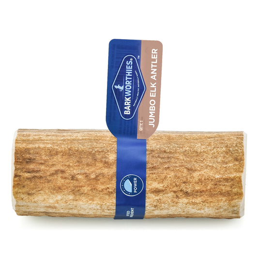 Barkworthies Elk Antler - Extra Large Whole - (Mini Case)