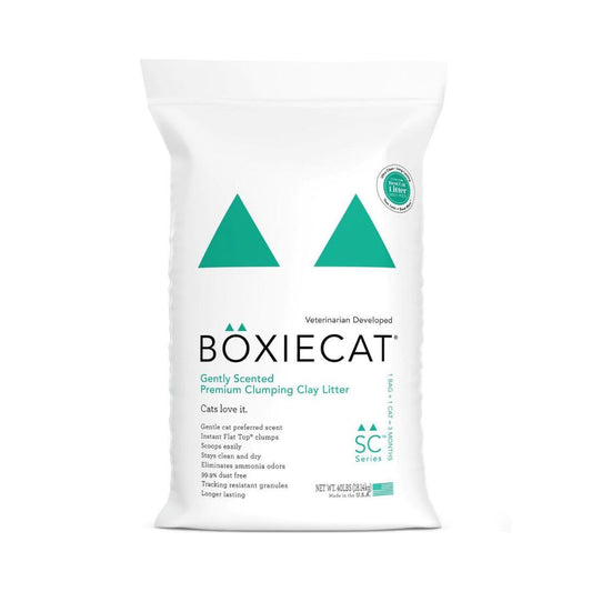 Boxiecat Clay Gently Scented Litter 40Lb