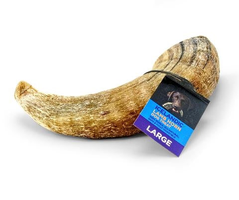 Icelandic+ Lamb Horn - Single Piece (Sized Approx. 6.5-7In)