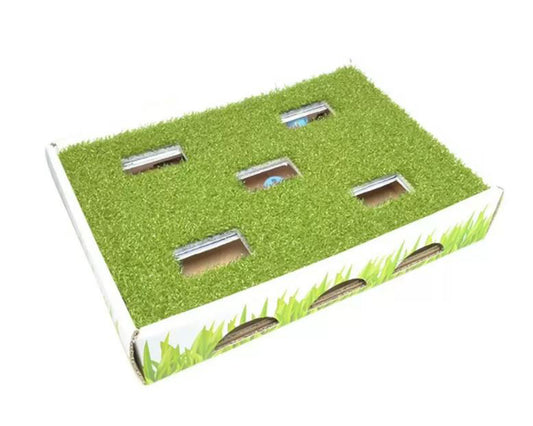 Petstages Grass Patch Hunting Box Cat Toy White, Green One Size