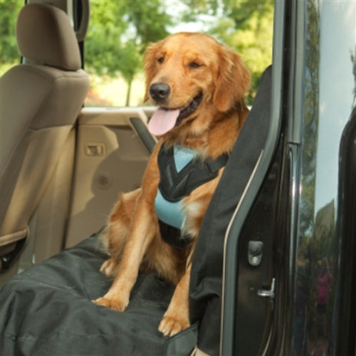 Bergan Dog Auto Harness With Tether-Mediu