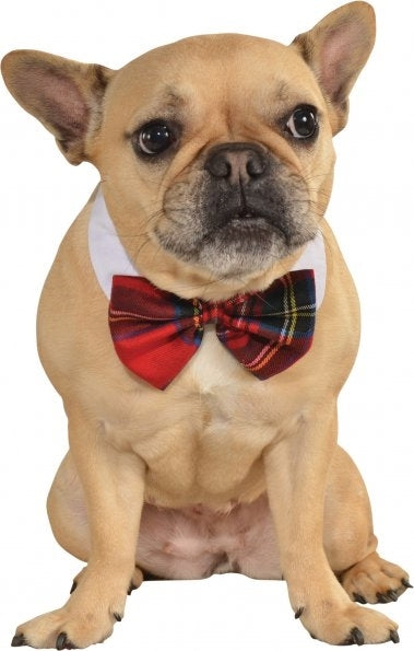 Rubies Plaid Pet Bowtie M-L