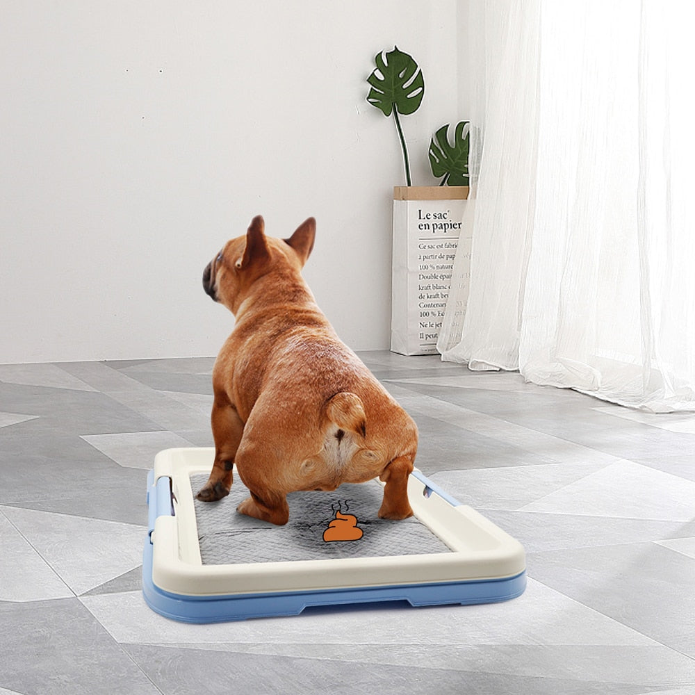 Portable Dog Training Mat