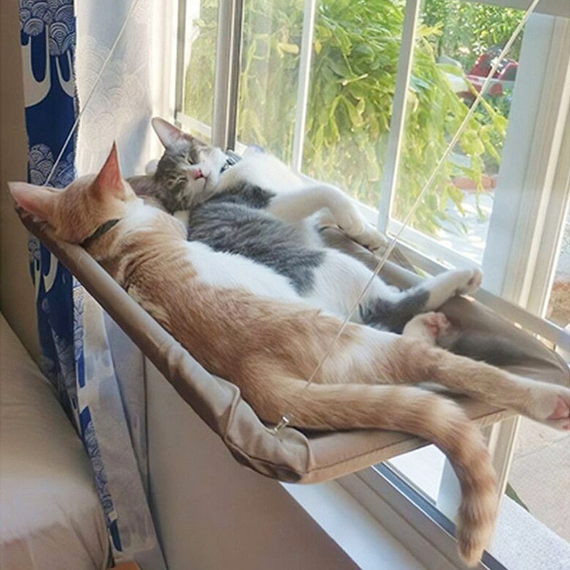 Cat Hammock Bed