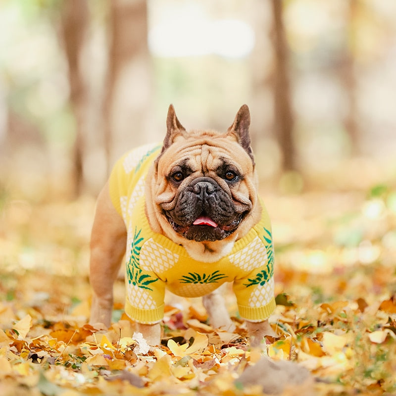 Designer Dog Sweater