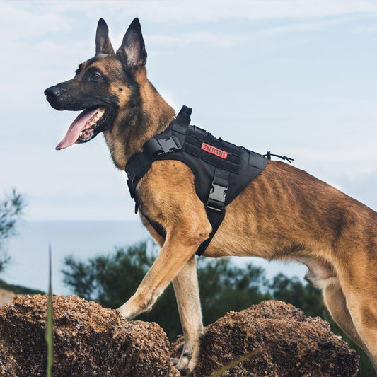 OneTigris Dog Harness Tactical Vest
