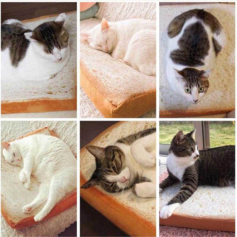 Toasted Bread Cat Bed