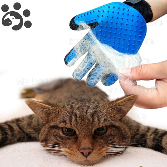 Best Cat Grooming Glove