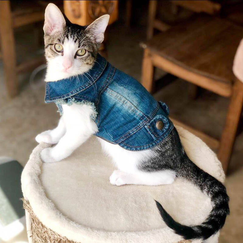 Denim Fashion Jacket Vest