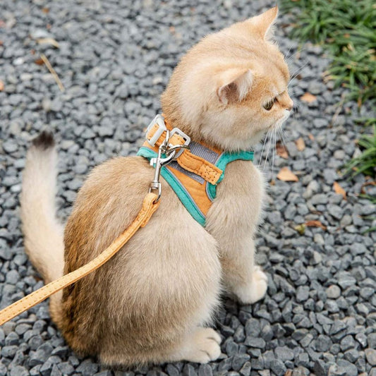 Cat Harness and Leash Set 