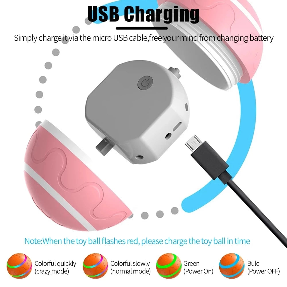 BPups Durable Smart Chase Chargeable Ball with Remote Control