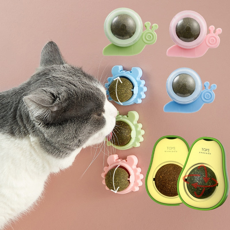 Catnip Wall Ball