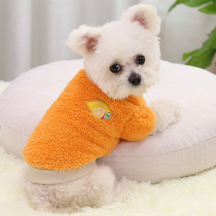 Ultra Fuzzy Designer Dog Sweater